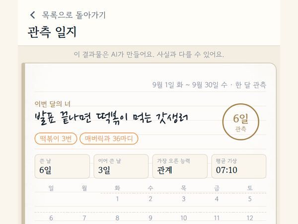 관측 일지